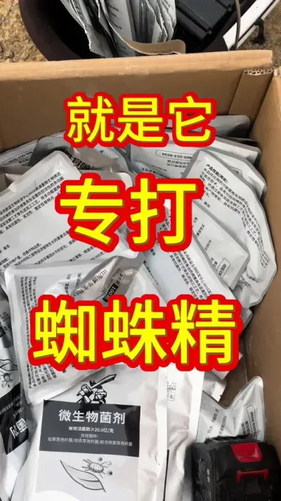#草莓苗出售 #草莓苗育苗基地 #草莓技术分享