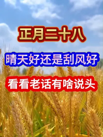 正月二十八是晴天好还是刮风好看看老话有啥说头 #服务三农支持三农 #三农种植 #农业谚语 #农业种植 #分享农业知识帮农民增产增收