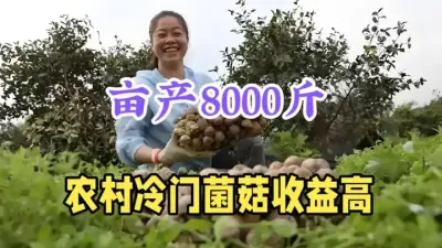 农村冷门菌菇种植，亩产8000斤，种它3个月赚8万，建议收藏 #农业种植致富项目 #三农 #新农人计划 #农村创业 #抖音助农