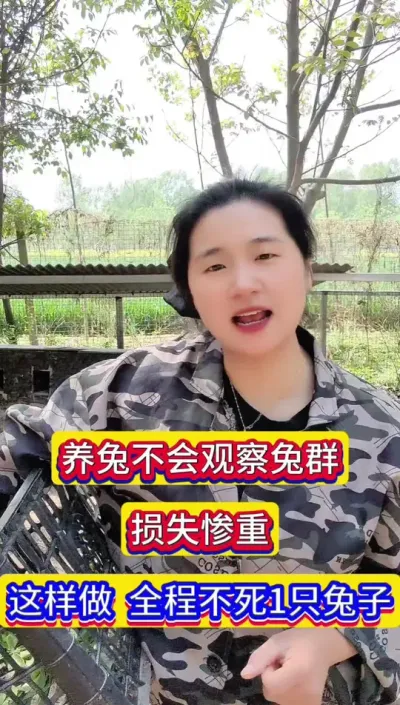 养兔不会观察兔群，损失惨重，这样管理，全程不死一只兔，远离🈶丙虫#养兔人 #兔 #肉兔 #兔子养殖 #科学养兔