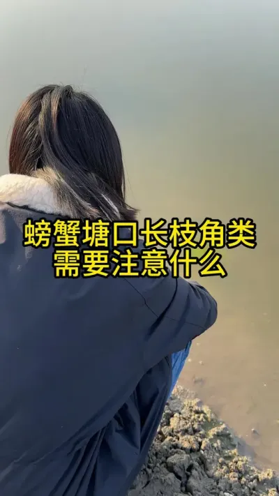 螃蟹塘口长枝角类需要注意什么！！！！ #渔多多养殖模式 #三农 #河蟹养殖 #水产养殖 #大闸蟹养殖