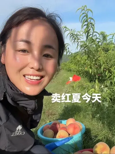 南通老板说卖我家桃子，遭客户疯抢👍#农业管理技术 #分享农业知识帮农民增产增收