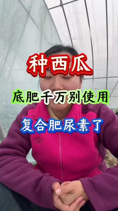 西瓜种植 底肥千万别使用复合肥和尿素了#西瓜种植#西瓜管理#西瓜底肥