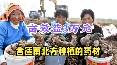 农村致富药材种植，1斤最低15元，亩收入高达3万多，建议收藏 #药材种植 #种植哪些药材利润高 #农业种植致富项目 #三农种植 #何首乌种植