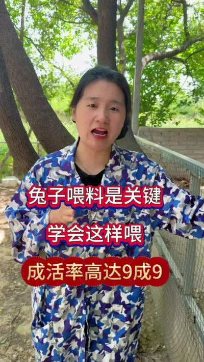养兔喂养有方法，这样喂，成活率高达9成9.远离丙蟲害#肉兔养殖 #兔子养殖 #养兔人 #兔子 #养兔人