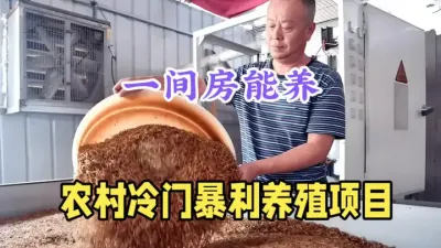 不种地不打工！农村冷门暴利养殖，年赚20万，技术简单，销路广 #三农养殖 #农村创业养殖 #农村致富好项目 #农村小成本创业项目推荐 #抖音助农