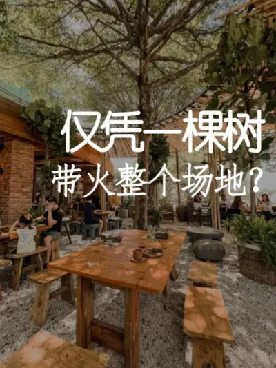 仅凭一棵树，也可以让整个场地出圈！ #小院改造 #小院时光 #氛围感 #网红打卡 #天雅设计