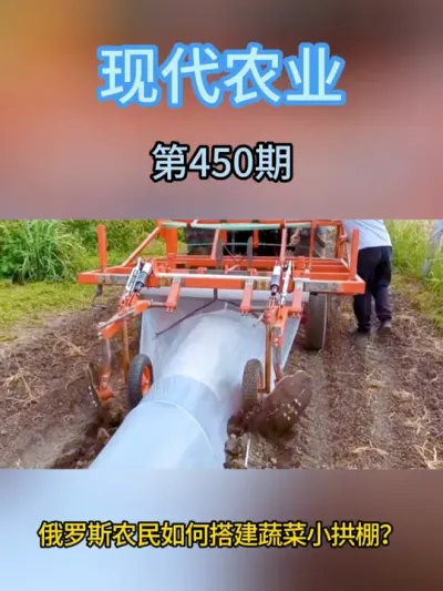 俄罗斯农民如何搭建蔬菜小拱棚？ #现代农业机械 #助力三农 #农业种植 #抖音助农 #开沟机