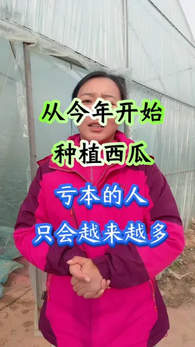 西瓜种植 从今年开始种西瓜亏本的人只会越来越多#西瓜种植#西瓜管理#西瓜底肥#早春西瓜