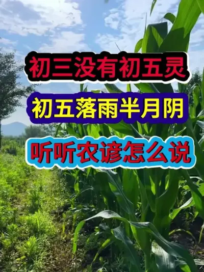 初三没有初五灵初五落雨半月阴听听农谚老话怎么说 #农业谚语 #农谚 #农谚老话 #农业种植 #三农