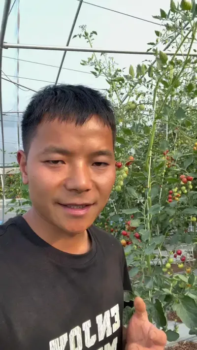 回乡创业不容易，一路走来太多的辛酸，只能说加油吧，希望越来越好！#返乡创业新农人 #记录我的种植生活