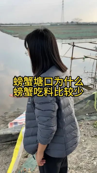 螃蟹塘口早期为什么螃蟹吃料少！！！1 #渔多多养殖模式 #河蟹养殖 #三农 #水产养殖 #大闸蟹养殖