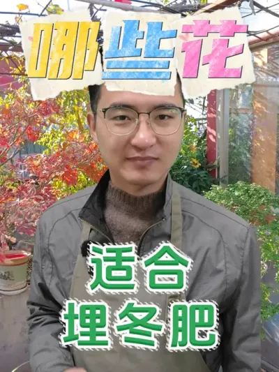 你知道哪些花，适合埋冬肥吗？ #养花 #冬肥 #养花小知识