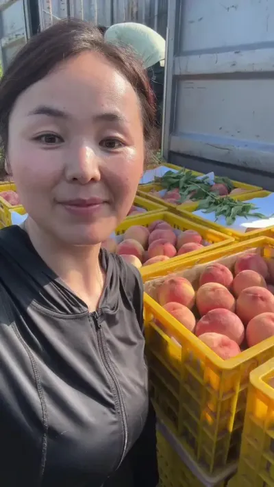 农业真的很辛苦，奉劝大家不要盲目跟风，那些网上天天说卖多好的都是自己不种的 #果树管理 #分享农业知识帮农民增产增收