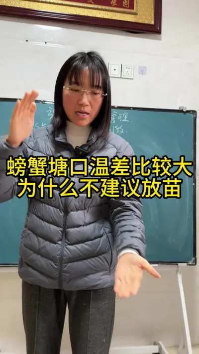 螃蟹塘口温差比较大为什么不建议放苗！！！ #渔多多养殖模式 #大闸蟹养殖 #三农 #水产养殖 #河蟹养殖
