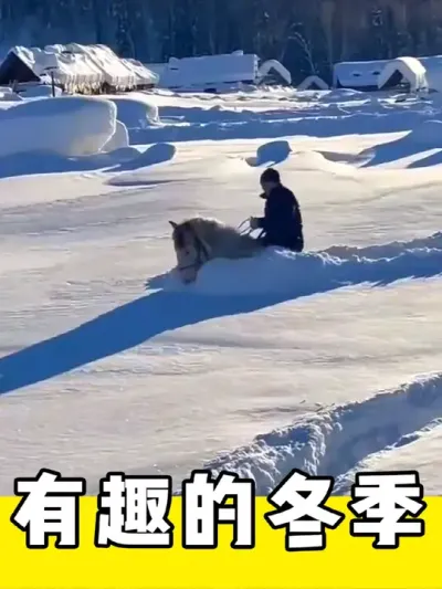 有趣的冬季#解压视频 #治愈 #雪景 #有趣 #解压