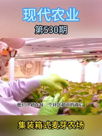 集装箱式麦芽农场 #农业 #麦芽 #三农 #智慧农业 #科技