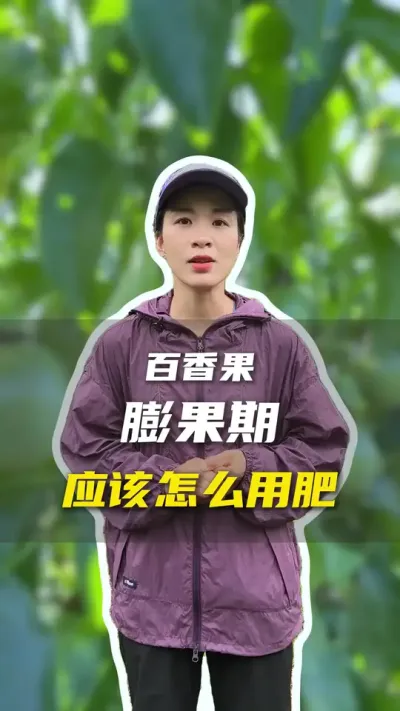 百香果膨果的两个时期应该怎么用肥？#百香果#百香果种植技术#百香果用肥#农业种植#抖音助农