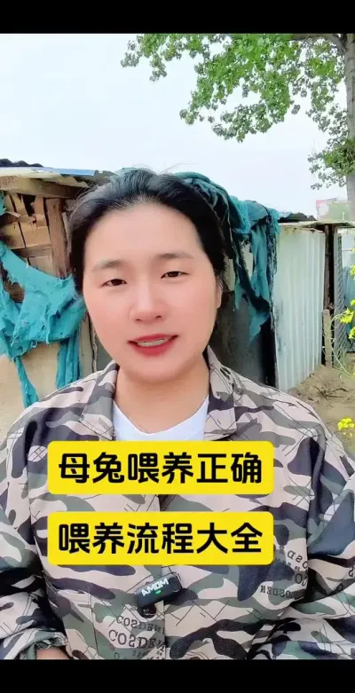 母兔正确喂养流程大全，学会养兔事半功倍#兔子 #养兔人 #兔子养殖 #肉兔养殖#散养兔