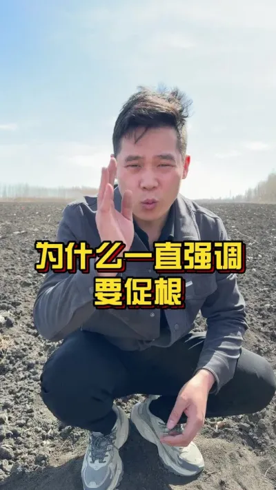 为什么一直强调促根？ #棉花种植专家讲座 #促根 #关注我每天分享种植知识 @抖音小助手