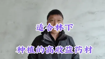 林下种植高利润药材揭秘！强烈建议收藏 #药材种植 #林下经济 #农村致富好项目 #三农 #种植哪些药材利润高