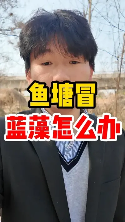 鱼塘冒蓝藻怎么办 #鱼池 #养鱼人