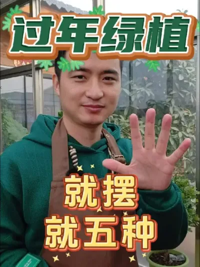 过年摆绿植，就选这五种! #养花 #过年绿植 #花卉绿植