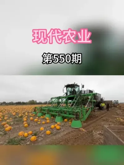 一秒钟收十个南瓜是怎么做到的？？ #服务三农支持三农 #现代农业机械 #农业种植 #新农人计划 #科技农业创新农业