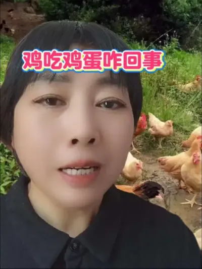 鸡吃鸡蛋咋回事？鸡群不同的表现，方法也不同#鸡吃鸡蛋#鸡啄蛋#养鸡技术 #鸡病咨询 #科学养鸡