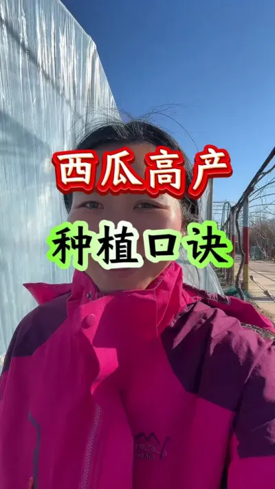 西瓜种植 西瓜高产种植口诀#西瓜种植 #西瓜管理