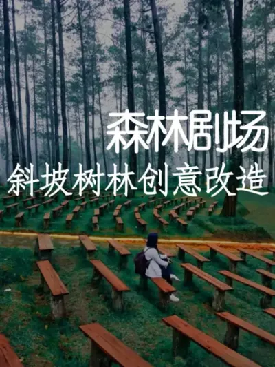 低成本打造多功能森林剧场 #小院改造 #小院时光 #氛围感 #网红打卡地 #天雅设计