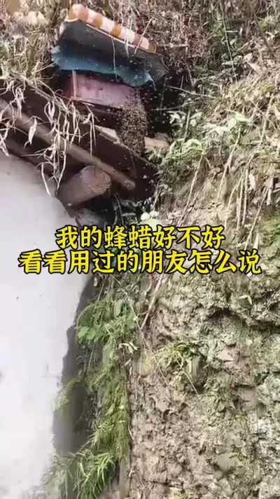 距离春季大分蜂结束只有一个多月了，想要诱蜂的朋友抓紧时间时#养蜂 #诱蜂 #养蜂技术 @抖音小助手
