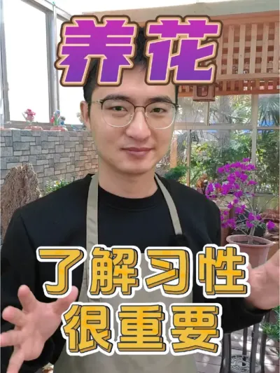 养茶花、茉莉、栀子花，了解习性很重要! #养花 #补酸 #硫酸亚铁