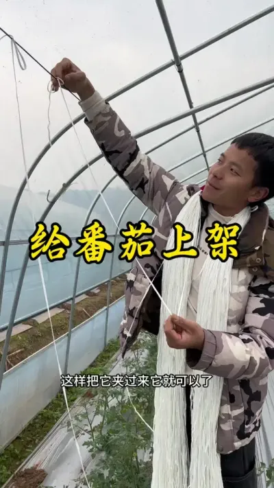 最近一直在拉绳子，你们是怎么操作的呢？#返乡创业新农人 #记录我的种植生活 #农业种植