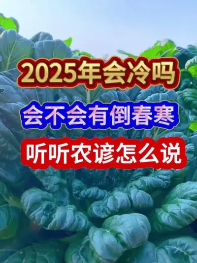 2025年会冷吗会不会有倒春寒听听农谚怎么说 #农业谚语 #农业种植 #谚语分享 #三农 #分享农业知识帮农民增产增收