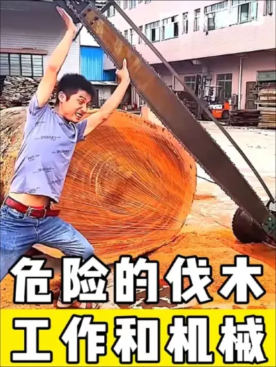 危险的伐木工作和机械#伐木 #机械 #伐木工 #全自动伐木机 #危险动作请勿模仿