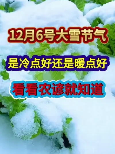 12月6号大雪节气是冷点好还是暖点好看看农谚就知道 #大雪节气 #农业谚语 #大雪节气谚语 #三农 #分享农业知识帮农民增产增收