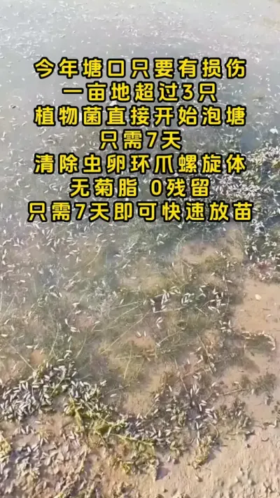 今年塘口有损伤的，清塘一定要注意了。#河蟹养殖 #大闸蟹养殖 #鱼虾蟹养殖 #螃蟹养殖 #三农 @DOU+小助手
