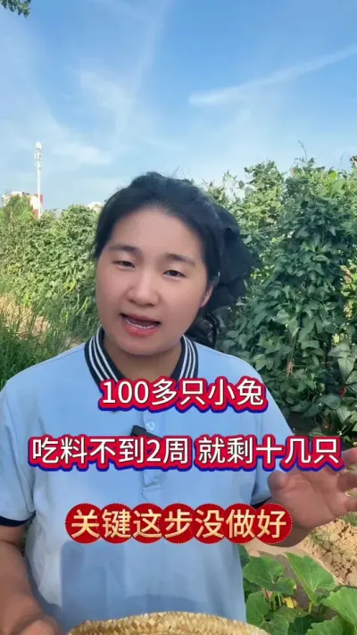 小兔养不活，养不大，成活率低，罪魁祸首就是它，关键这步没做好#养兔人 #肉兔养殖 #养兔