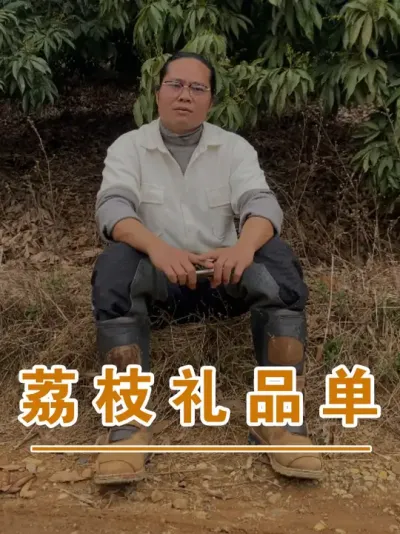你的荔枝为什么只能卖10块3斤？#广西灵山荔枝果苗#农业创业#抖音新农人计划2025#吕老师种果苗 #广西灵山荔枝果苗