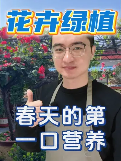 给花卉绿植春天的第一口营养！ #养花 #花卉绿植 #羊粪有机肥