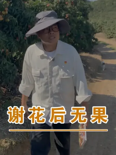 种荔枝没花没果心里也许还舒服一点，有花无果是真难受#广西灵山荔枝果苗#农业创业#抖音新农人计划2025#吕老师种果苗#荔枝种植管理技术@吕老师