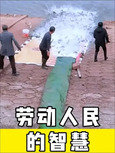 劳动人民的智慧，太聪明了#劳动人民的智慧#神操作 #高手在民间 #实用小技巧 #小妙招大作用
