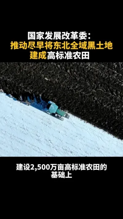 推动尽早将东北全域黑土地建成高标准农田#高标准农田建设 #东北 #乡村振兴 #三农 #农业