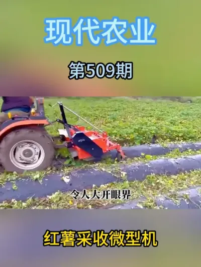 红薯采收微型机 #现代农业机械 #服务三农支持三农 #农业种植 #抖音助农 #新农人计划