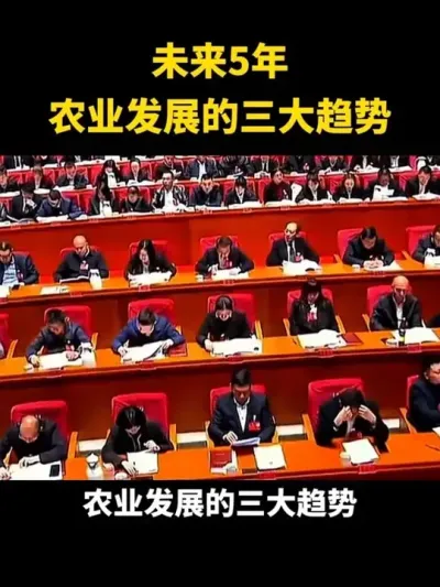 未来五年农业发展的三大趋势#乡村振兴#乡村扶持#休闲农业#家庭农场#新农人