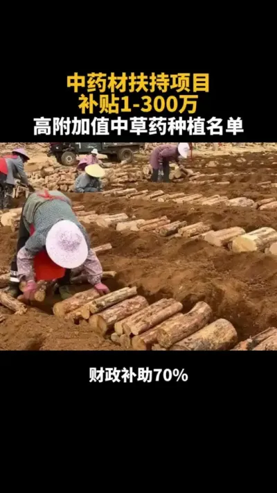 中药材扶持项目补贴1-300万 #乡村振兴 #补贴 #乡村振兴dou行动 #2025年新农人 #中药材
