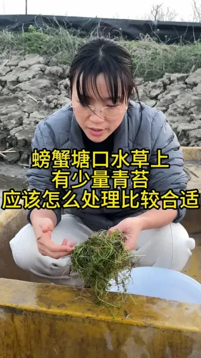 螃蟹塘口水草上有少量青苔，应该怎么处理比较合适！！！ #渔多多养殖模式 #河蟹养殖 #三农 #水产养殖 #大闸蟹养殖