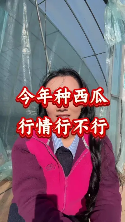 西瓜种植 今年种西瓜行情行不行 #西瓜种植 #西瓜管理 #西瓜行情
