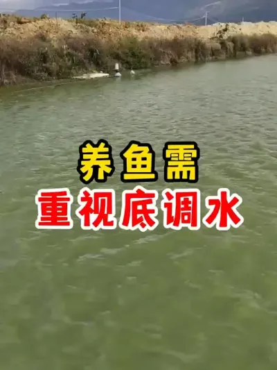 养鱼一定要重视调水 #水产养殖 #养鱼#养殖 #农村 #小妙招